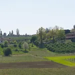 Vignot & Wine