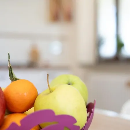 Vignot&wine Ferienhaus Costigliole d'Asti