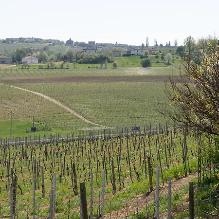 Nyaraló Vignot & Wine