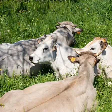 Ferienhaus Vignot&wine *