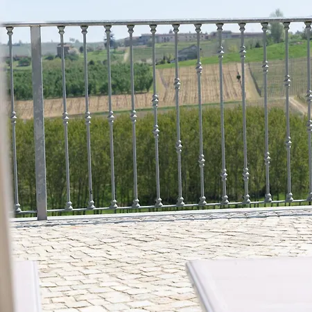 Vignot & Wine * Costigliole d'Asti