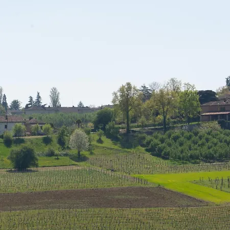 Vignot & Wine