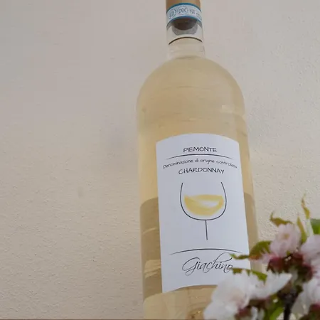 Vignot & Wine Semesterbostad Costigliole d'Asti