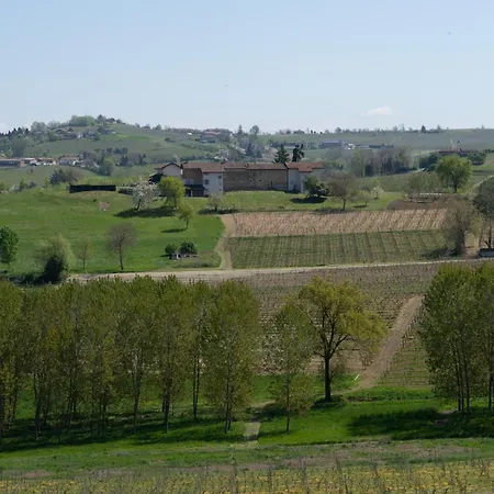 Vignot&wine * Costigliole d'Asti