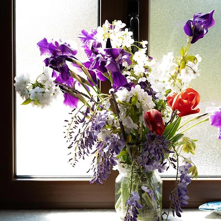 Vignot & Wine Дом отдыха *