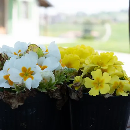 Дом отдыха Vignot & Wine *