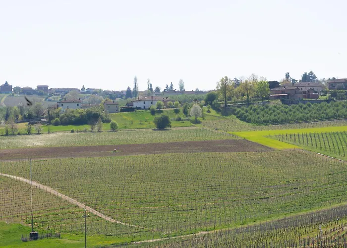 Vignot & Wine * Costigliole d'Asti