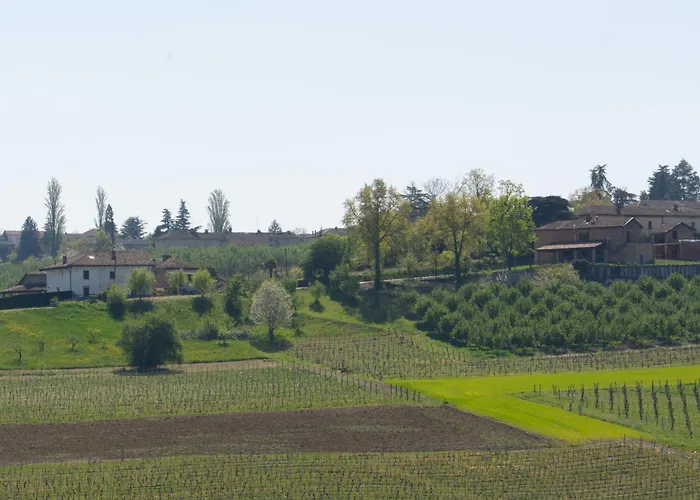 Vignot & Wine