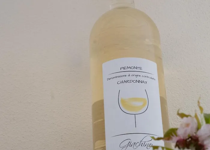 Vignot & Wine Σπίτι διακοπών Costigliole d'Asti