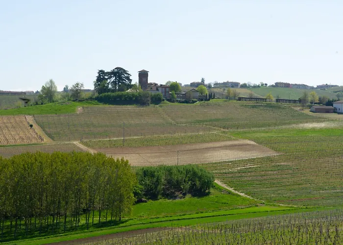 Vignot & Wine Σπίτι διακοπών Costigliole d'Asti