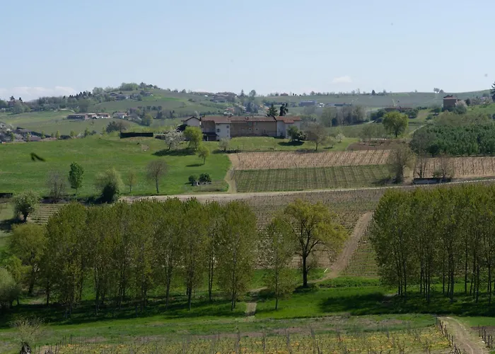 Vignot & Wine * Costigliole d'Asti
